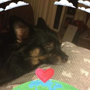 Meet your Posher, Sami